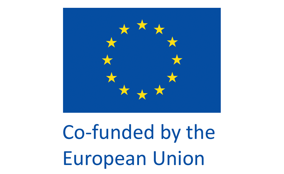 Co-funded by the European Union